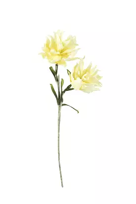 SOFT WHITE BOTANICAL